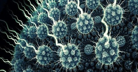Dünyada yeni tip koronavirüs bulaşan kişi sayısı 76 bin 700’ü aştı