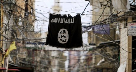 Danimarka, IŞİD’lilere işsizlik maaşı veriyor