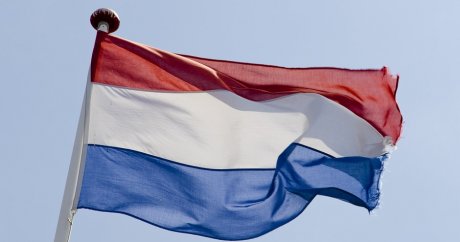 Hollanda’dan küstah açıklama