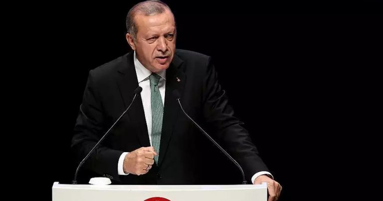 Erdoğan: ‘PKK ve FETÖ aynı gaye için kullanılmıştır’