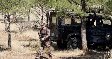 Muğla’da çatışma: 5 PKK’lı öldürüldü