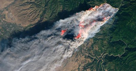 California’daki orman yangınlarında ölü sayısı 76’ya çıktı