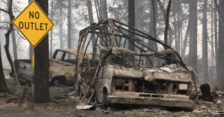 ABD’nin California eyaletinde devam eden orman yangınlarında can kaybı 31’e yükseldi