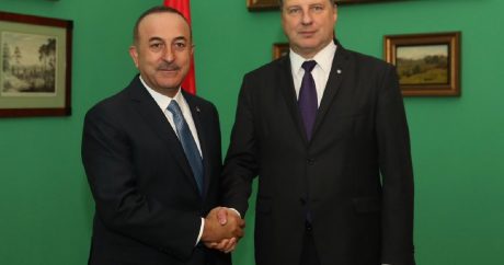 Dışişleri bakanı Çavuşoğlu Litvanyalı mevkidaşı ile görüştü