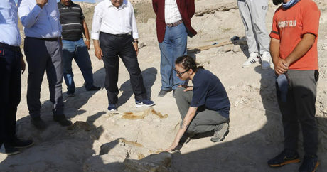 Kayseri`de 7,5 milyon yıllık fosiller bulundu