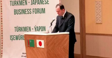 Japonya, Türkmenistan`a yatırım yapıyor