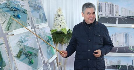 Türkmenbaşı, Türk şirketlerin inşaat projelerini denetledi
