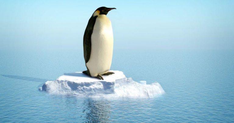 Antarktika’da sıcaklık ilk kez 20 derecenin üzerine çıkarak rekor kırdı