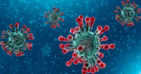 Dünya üzerindeki en ölümcül 12 virüs – Araştırma
