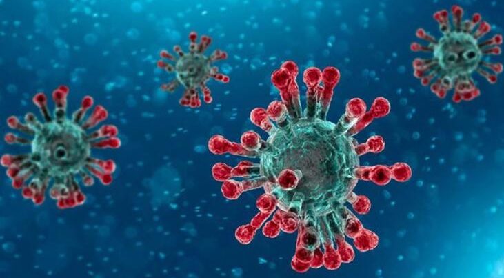 Dünya üzerindeki en ölümcül 12 virüs – Araştırma