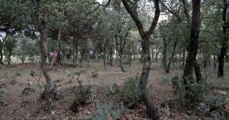 Yakılarak katledilen 83 Türk’ün mezarları bulundu
