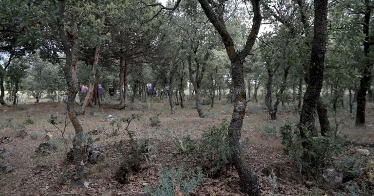Yakılarak katledilen 83 Türk’ün mezarları bulundu