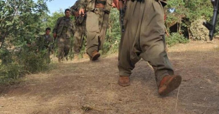 4 PKK’lı terörist Silopi’de teslim oldu