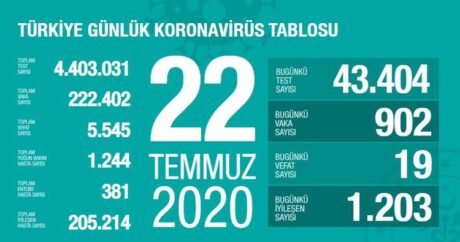 Türkiye’de vaka sayısı 222,4 bini geçti