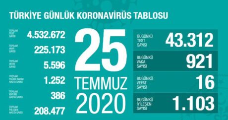 Türkiye’de vaka sayısı 225 bin 173’e yükseldi