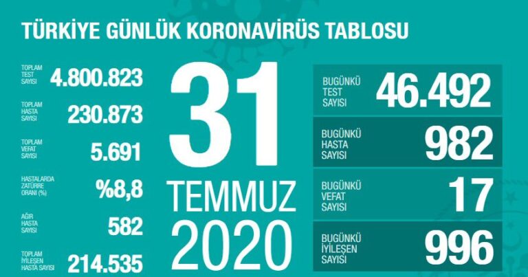 Türkiye’de iyileşenlerin sayısı 214 bin 535’e yükseldi