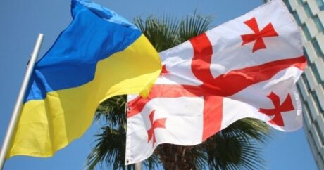 Ukrayna ve Gürcistan`ın ortak sorunu: Rus işgali
