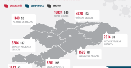 Kırgızistan’da 28 bin 743 kişi sağlığına kavuştu
