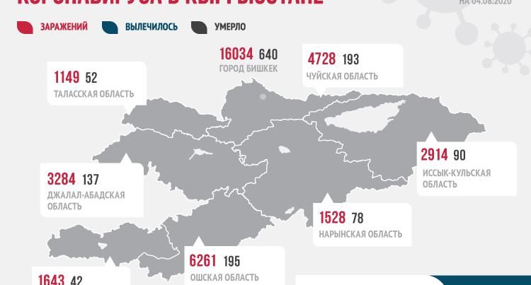 Kırgızistan’da 28 bin 743 kişi sağlığına kavuştu