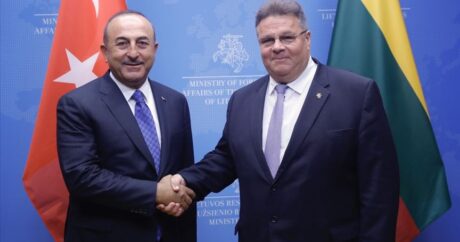 “Türkiye ve Litvanya mükemmel ikili ilişkilere sahiptir”