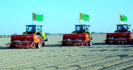 Türkmenistan’da buğday ekim mevsimi başladı