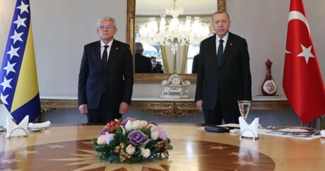 Cumhurbaşkanı Erdoğan Bosna Hersek Devlet Başkanlığı Konseyi Başkanı Caferoviç`i kabul etti