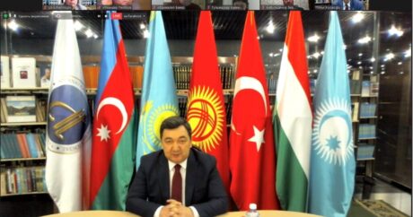 Türk Akademisi, “Mustafa Çokay ve Türkistan Ülküsü” konulu uluslararası çevrimiçi konferans düzenledi