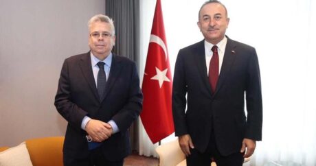 Dışişleri Bakanı Çavuşoğlu, AP Türkiye Raportörü ile görüştü