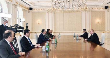 Cumhurbaşkanı Aliyev, Tarım ve Orman Bakanı Pakdemirli`yi kabul etti