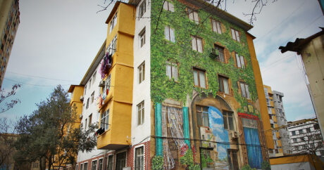 Bakü’nün binaları rengarenk resimlerle süslendi