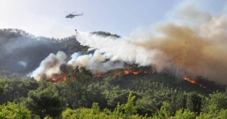 Antalya’daki yangınlar: Toplam 34 milyon 596 bin liralık zarar tespiti yapıldı