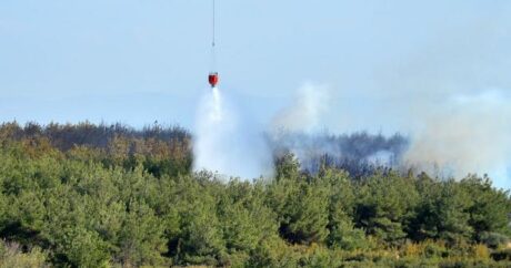 Türkiye`de büyük orman yangınlarının tamamı söndürüldü