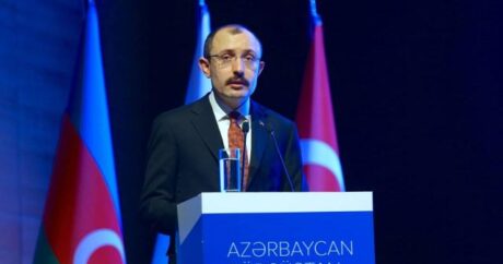 Bakan Muş: “Gürcü ve Azerbaycanlı yatırımcılara her türlü desteği ve kolaylığı sağlamaya hazırız”