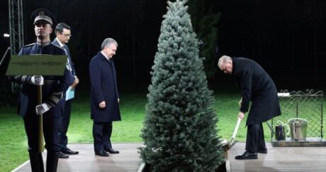 Erdoğan ile Mirziyoyev dostluk ağacı dikti