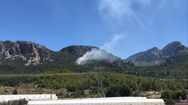 Antalya’da orman yangını: Müdahale sürüyor