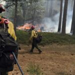 California’da süren orman yangınlarında 6 bin 300 hektar alan zarar gördü