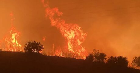 Mersin’deki orman yangını sürüyor: Kara yolu ulaşıma kapandı