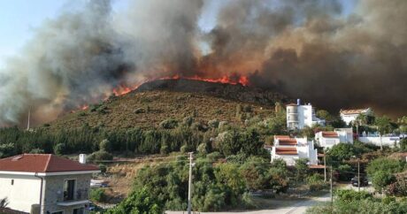 Datça’da orman yangını başladı