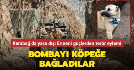Ermeni teröristlerden insanlık dışı hareket: Bombayı köpeğe bağlayıp Azerbaycan askerinin üzerine saldılar